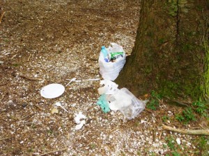 nella foto: rifiuti lasciati accanto ad un albero