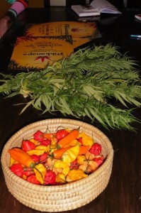 Convegni, dibattiti e dimostrazioni durante la manifestazione Pikkanapa