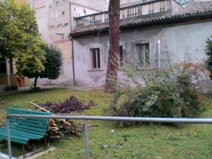 Si è messo mano anche alla ripulitura dei giardinetti dell’ex laboratorio analisi dell’ospedale