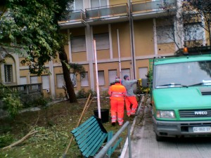 Una squadra della manutenzione comunale ha cominciato a potare gli alberi e tagliare l’erba che era cresciuta a dismisura
