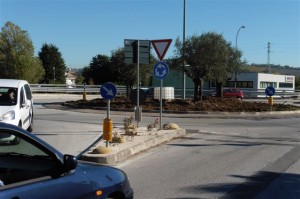 piante_rotatoria_jesi