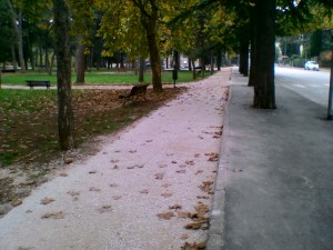 La striscia sterrata costituirà l’anello di congiunzione tra la parte che arriva da piazza Allende e quella che si inoltra lungo viale Cavallotti