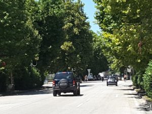 pla3