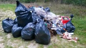I rifiuti raccolti e rinchiusi negli appositi sacchi