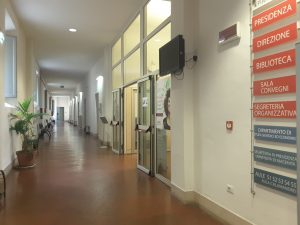 Università jesi