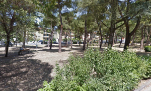area verde piazza bramante