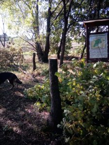 Parco Castagnola Montemarciano