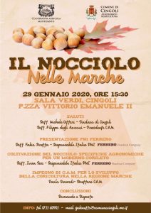 Nocciolo marche