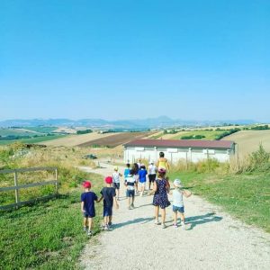 centri estivi fattoria didattica bambini animali