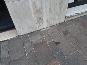 deiezioni canine