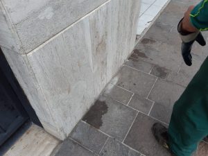 foto deiezioni canine