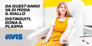 giallo plasma avis