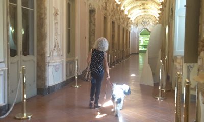 Pinacoteca