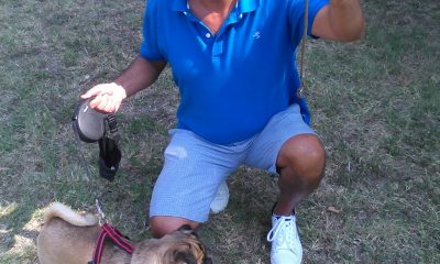 biscia al parco
