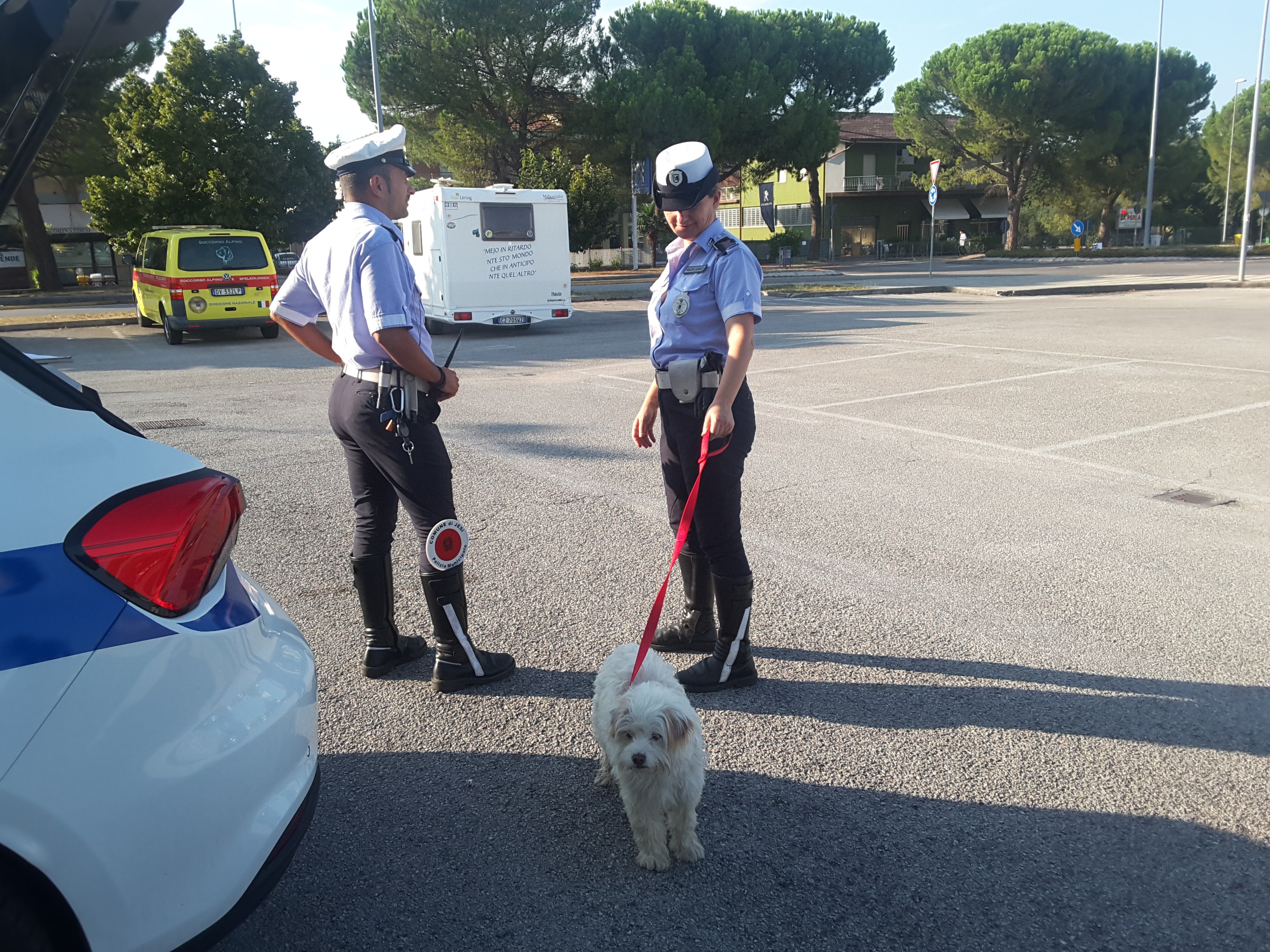 cagnolina via Gallodoro