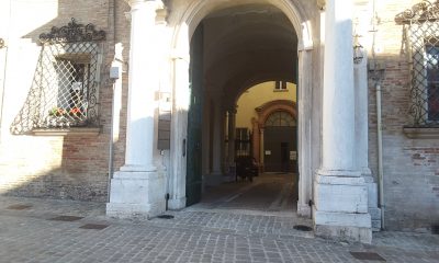Sede avulss