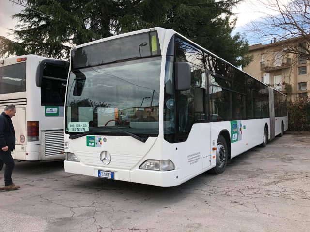 autobus crognaletti