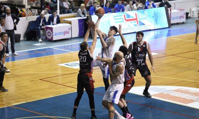 Paolini ristopro fabriano