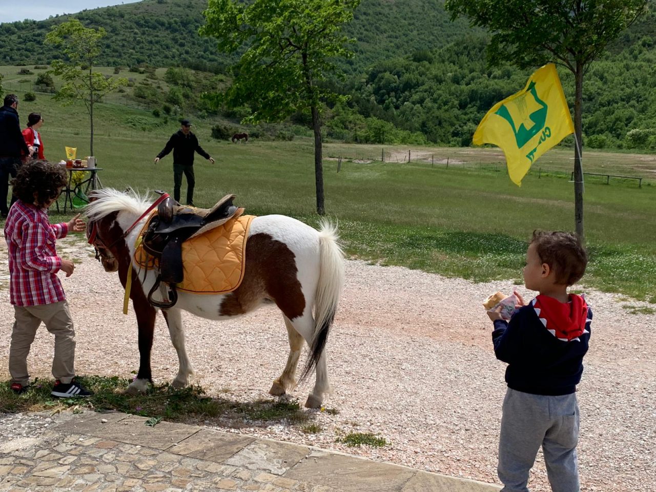 centri estivi fattoria didattica bambini animali
