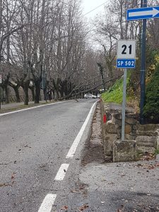 caduta albero cingoli 2