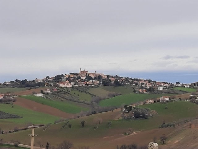belvedere ostrense