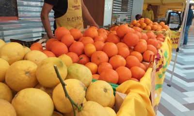 arance agrumi ai mercati di Campagna Amica