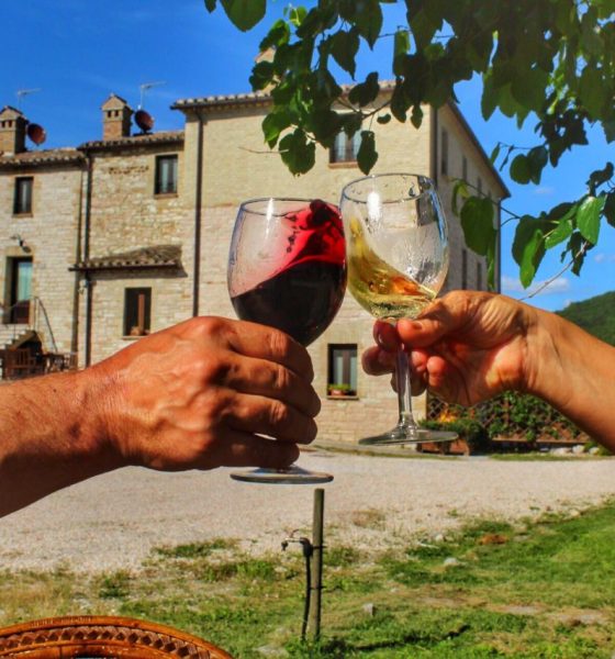 foto due braccia che alzano calici di vino