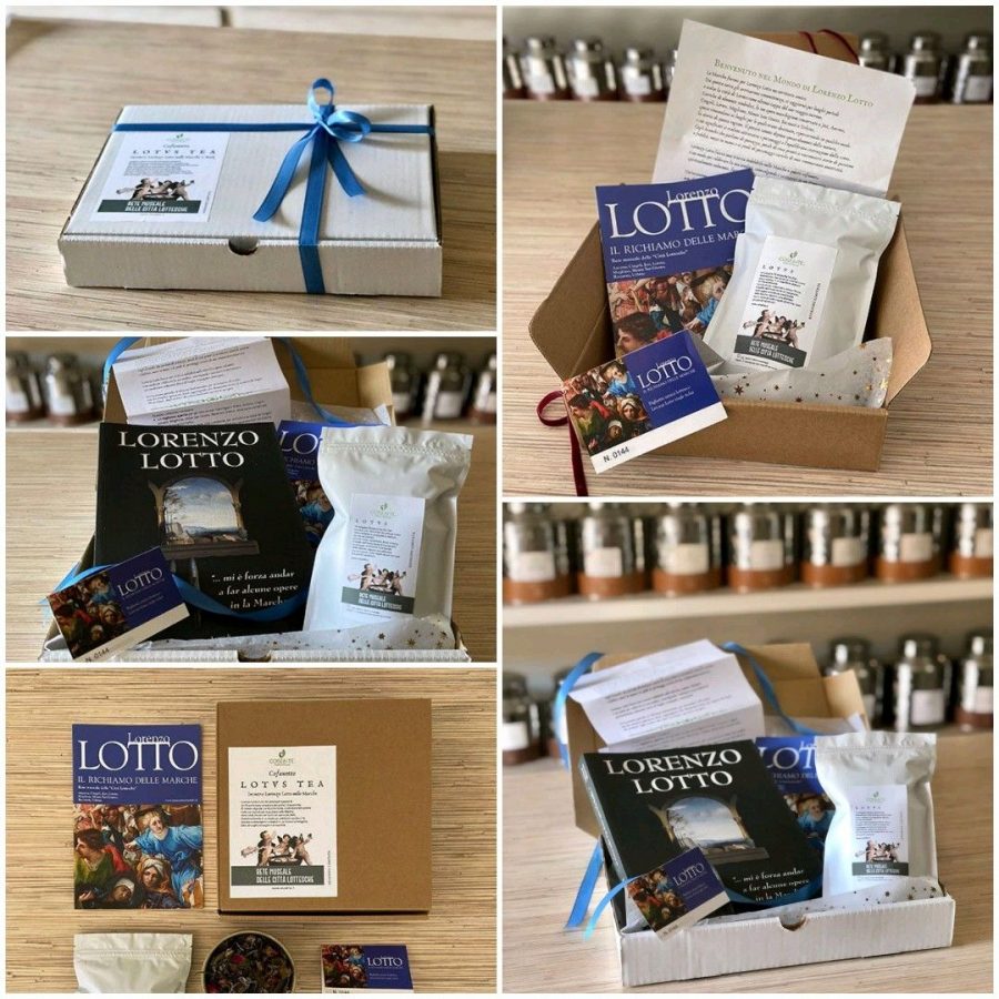 Lotus Lotto, cofanetti