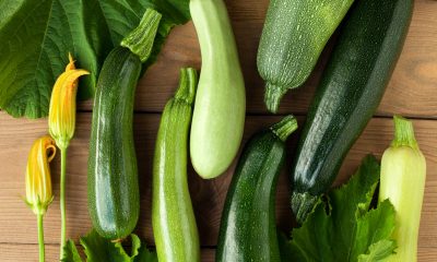 BENESSERE / La zucchina un pieno di vitamine