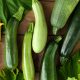 BENESSERE / La zucchina un pieno di vitamine