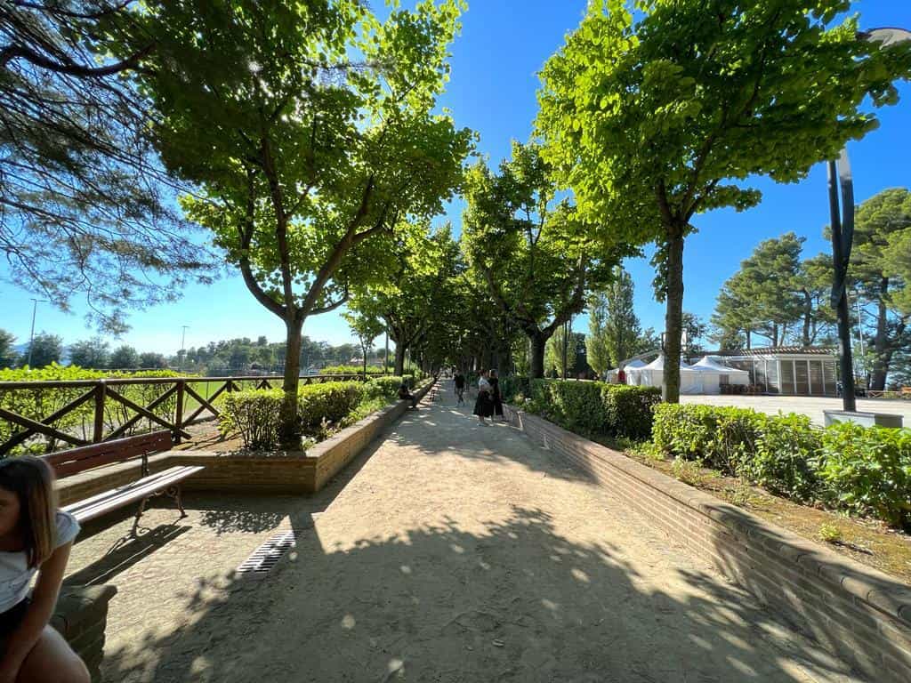 Colle celeste MAIOLATI SPONTINI