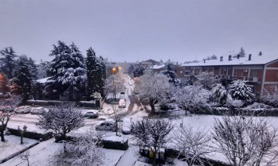 Jesi la neve di febbraio