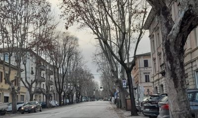 viale della vittoria jesi