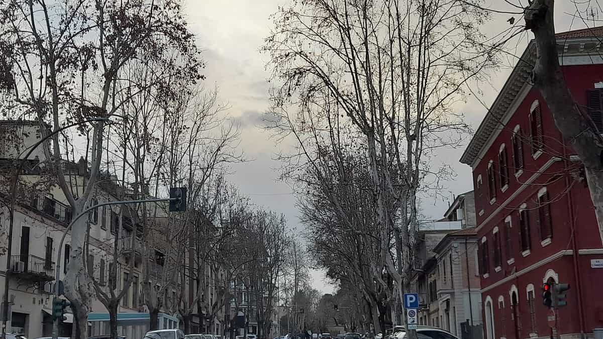 viale della vittoria jesi