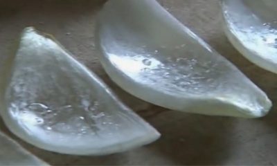 calendario cipolle