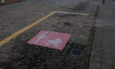 santa maria nuova parcheggio rosa