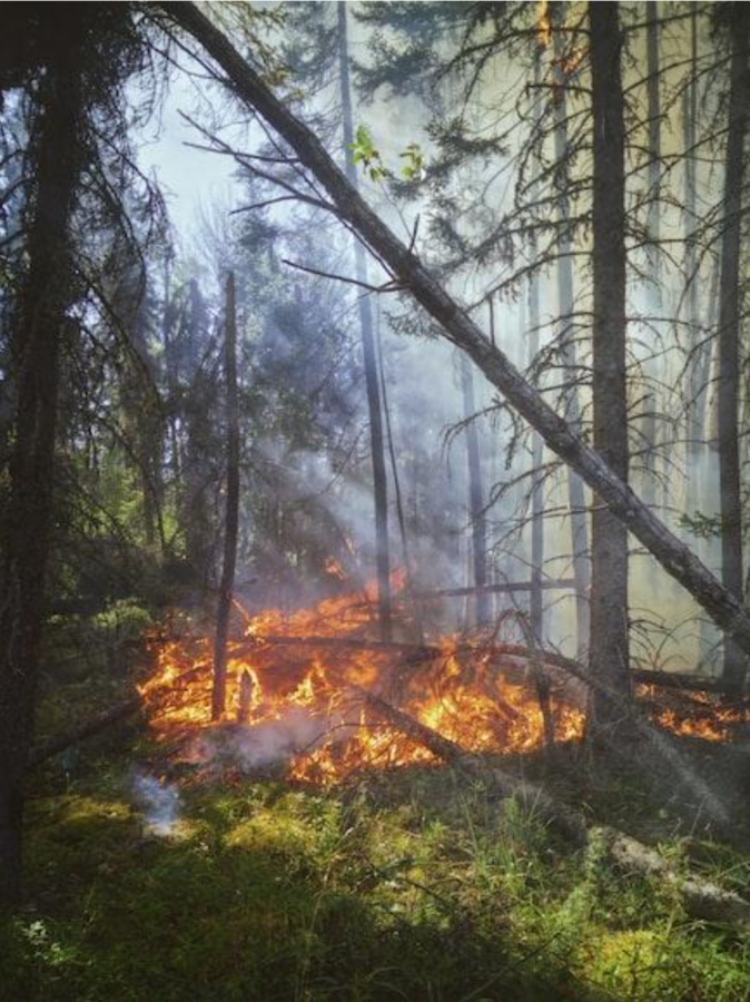 Europa meridionale in fiamme: tra caldo estremo e incendi aumenta l’ecoansia