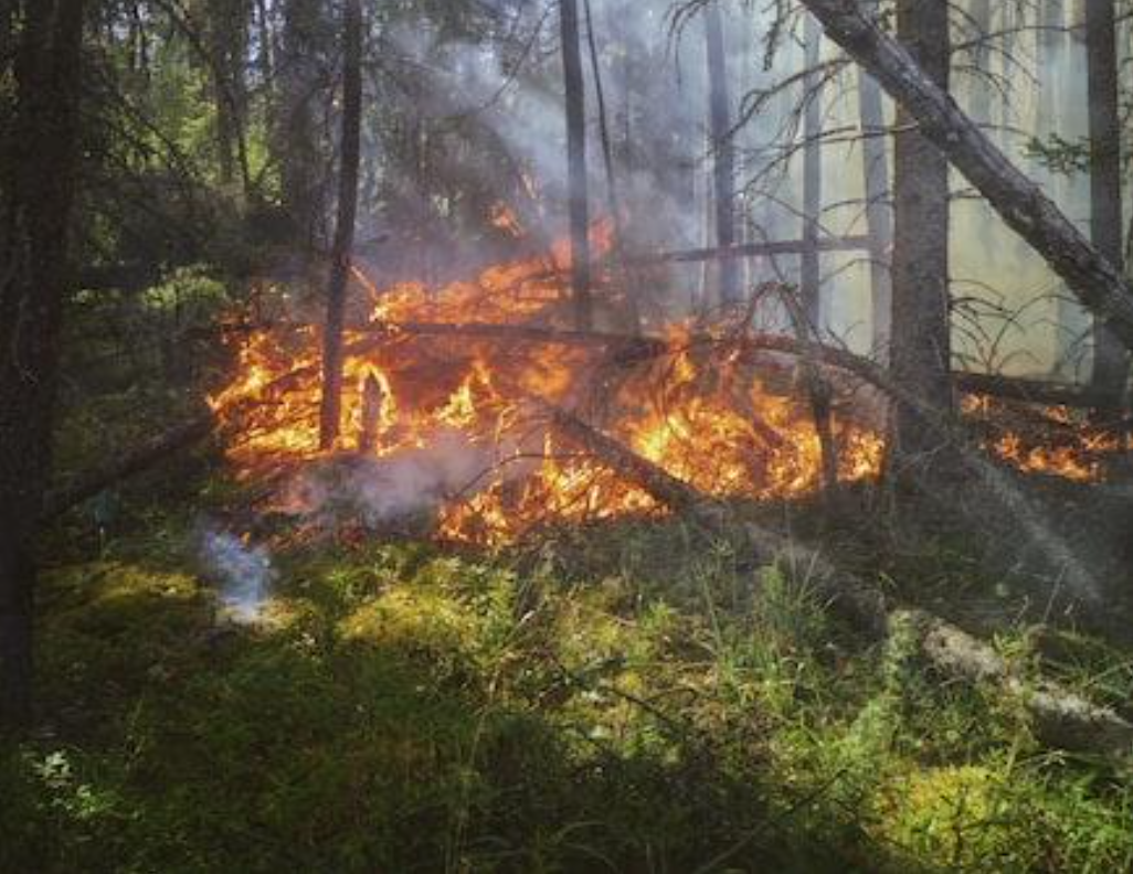 Europa meridionale in fiamme: tra caldo estremo e incendi aumenta l’ecoansia