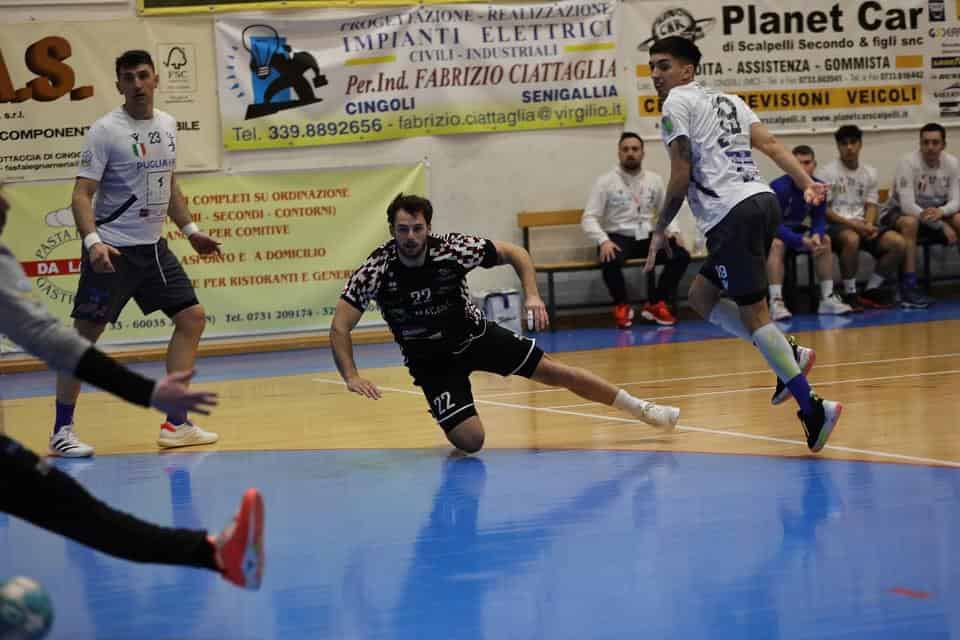 pallamano cingoli
