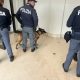 polizia jesi cinofili