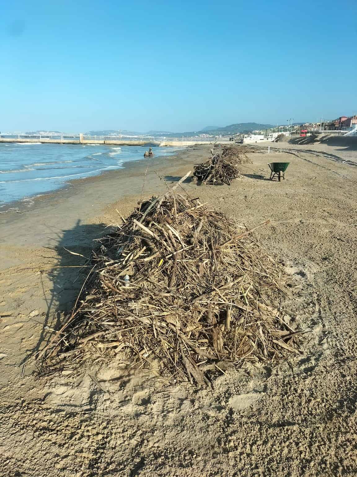 FALCONARA / LEGNAME E DETRITI INVADONO LA SPIAGGIA. SOLLECITATA LA RACCOLTA DA PARTE DEL COMUNE