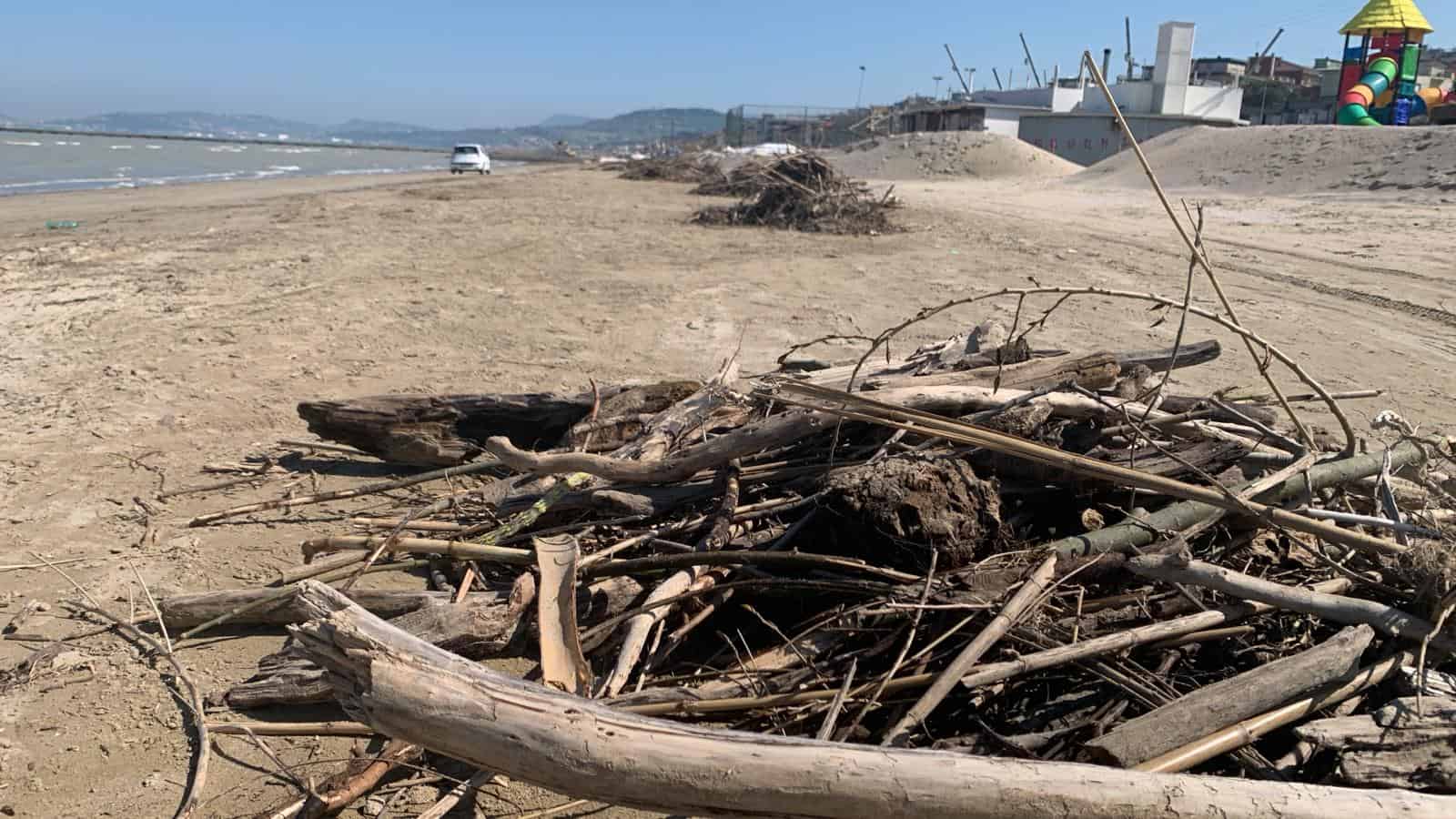 FALCONARA / LEGNAME E DETRITI INVADONO LA SPIAGGIA. SOLLECITATA LA RACCOLTA DA PARTE DEL COMUNE
