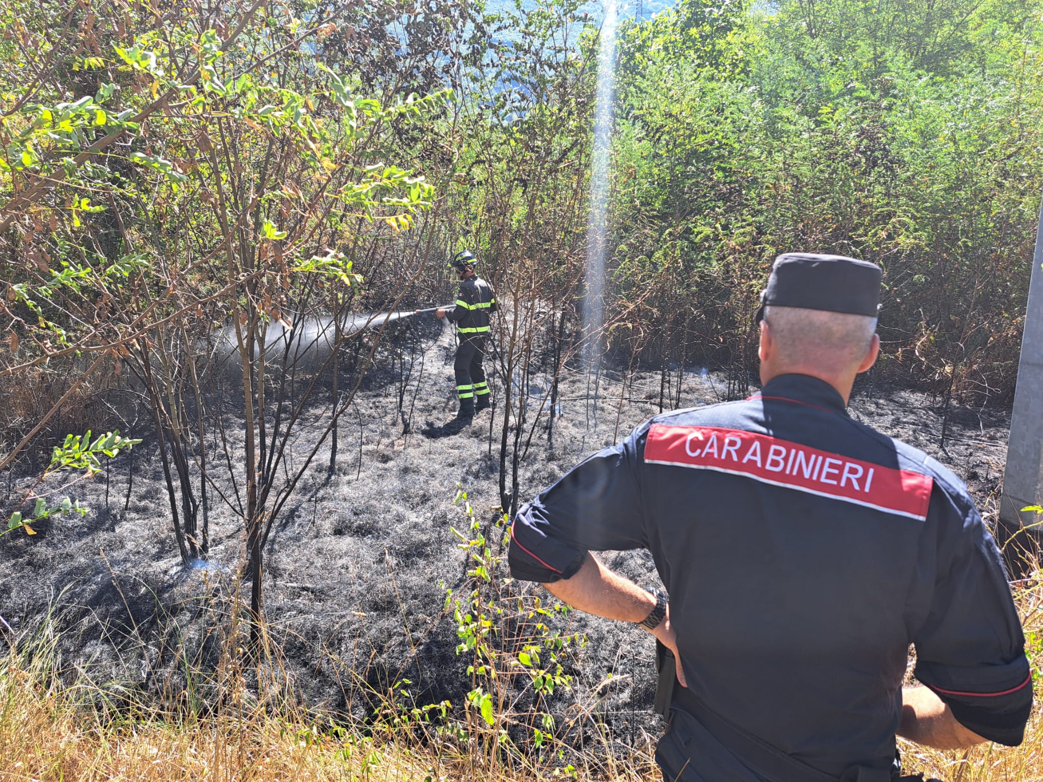 carabinieri forestali