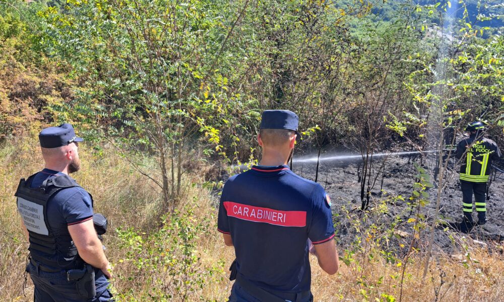 carabinieri forestali