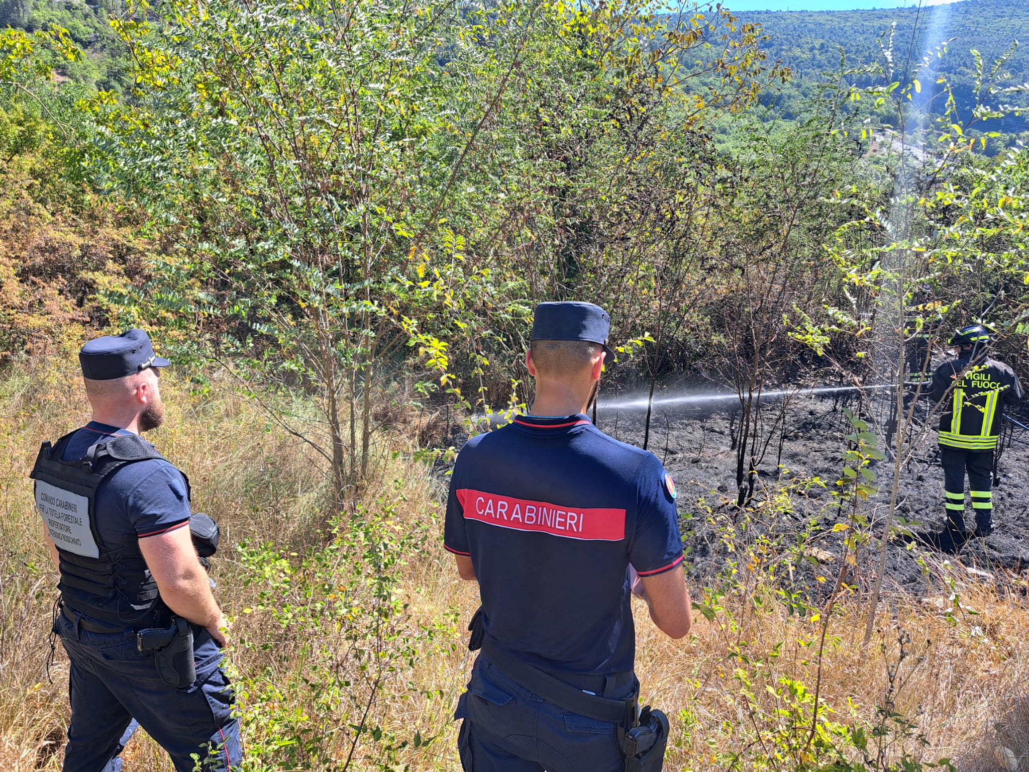 carabinieri forestali