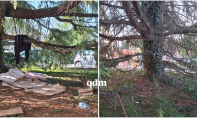 Famiglia sotto l'albero alla stazione