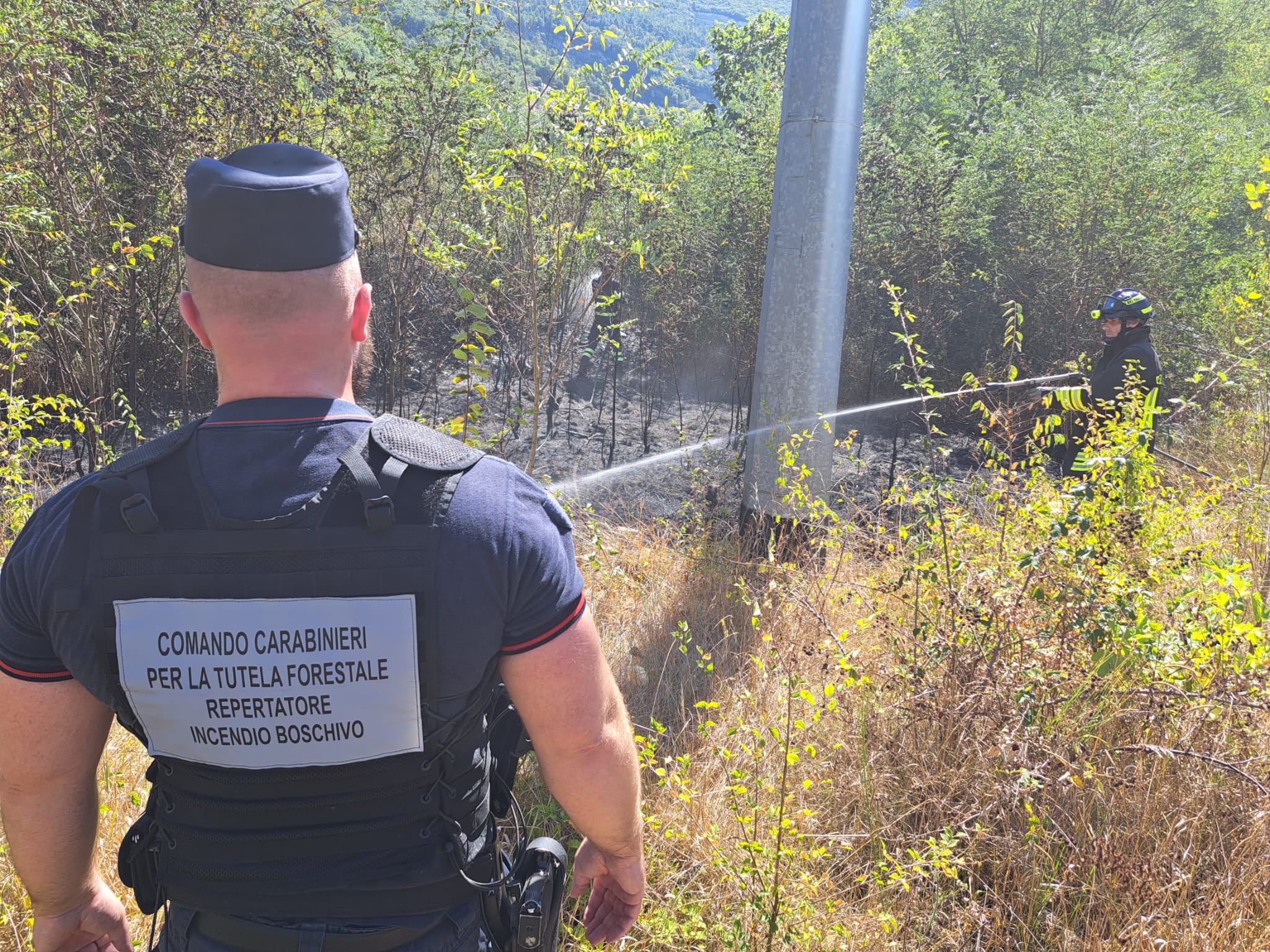 carabinieri forestali