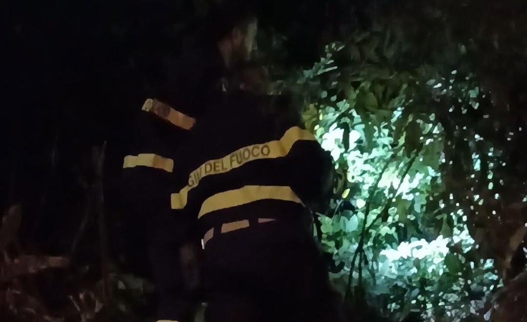 Vigili del fuoco impegnati nel tentativo di recuperare un gattino vicino alla stazione di Chiaravalle