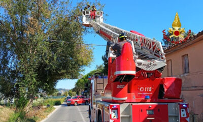 Vigili del fuoco durante l’intervento per un ramo pericolante in via