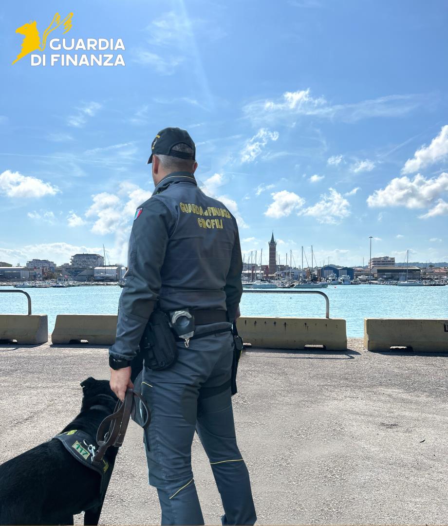 Il cane antidroga Hanima della Guardia di Finanza impegnato nei controlli antidroga a Civitanova Marche.